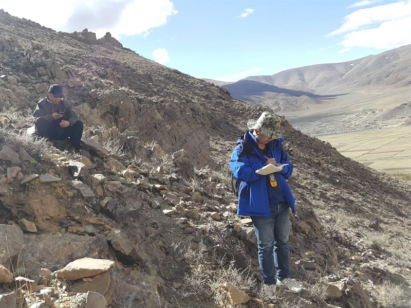 无悔青春雪域高原的奋斗者记川西北地质队西藏小分队的小伙子们